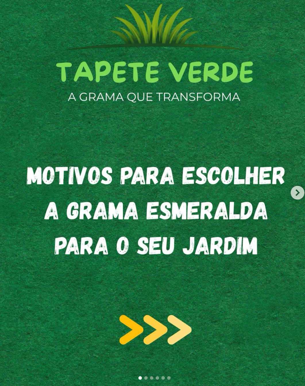 Detalhe de gotas de orvalho nas folhas da grama